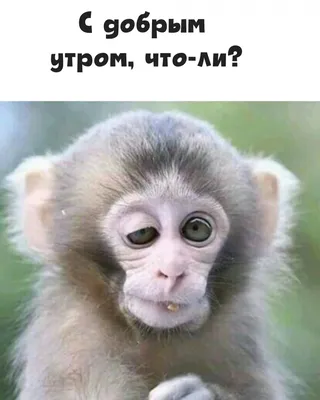 Юмор online - Доброе утро! 😁 | Facebook