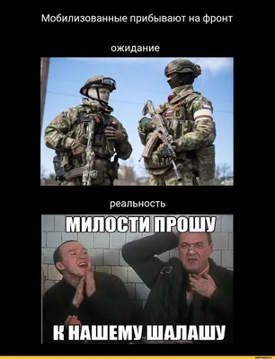Мемы про войну в Украине. Поднимаем настроение в трудное время - Новости на  KP.UA