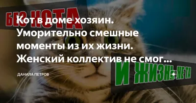 Когда устроился на работу в женский коллектив | Пикабу