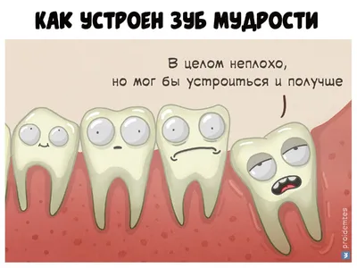 Зубы мудрости, брекеты и стоматологи - 10 смешных комиксов о зубах от  разных авторов | Смешные картинки | Дзен
