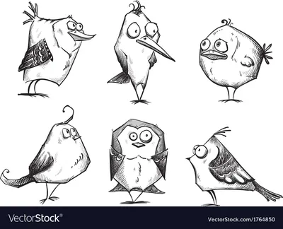 Смешные птички: Улыбающиеся снимки смешных птиц | Смешные птички Фото  №933310 скачать
