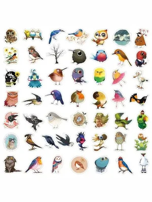 Смешные птички | Рисование для начинающих - YouTube