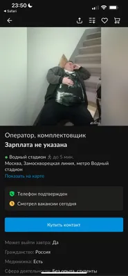 милые видео птицы совы и совы живут в природе видео, сова смешные картинки,  смешной, сова фон картинки и Фото для бесплатной загрузки