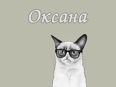 Приключения дракона и кота, Оксана Иванова – скачать книгу fb2, epub, pdf  на ЛитРес