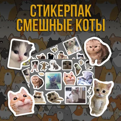 11 смешных комиксов про котов и котиков от разных авторов | Zinoink о  комиксах и шутках | Дзен