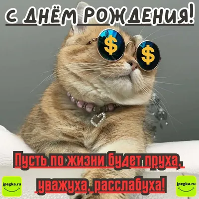 Картинка для смешного поздравления с днем домашних животных - С любовью,  Mine-Chips.ru
