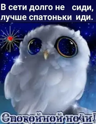 Пин от пользователя Наталия Николаева на доске Спокойной ночи! | Спокойной  ночи, Ночь, Смешные открытки