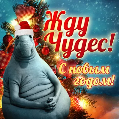 Новогодние открытки 2024 со стихами (красивые, трогательные, прикольные)  ❄🎄🎅 | Волшебный мир иллюстраций | Дзен