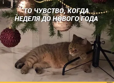 Новогодние открытки 2024 со стихами (красивые, трогательные, прикольные)  ❄🎄🎅 | Волшебный мир иллюстраций | Дзен