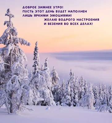 7 идей для зимних каникул и новогодних праздников — Школа.Москва