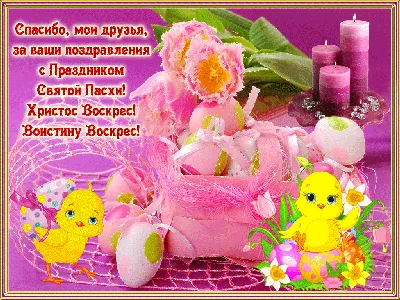 Поздравление Дмитрия Анатольевича Майорова с праздником светлой Пасхи!