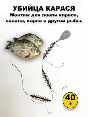 Оснащенный мотнаж Убийца карася 40 грамм набор Крутая рыбалка 168919644  купить за 245 ₽ в интернет-магазине Wildberries