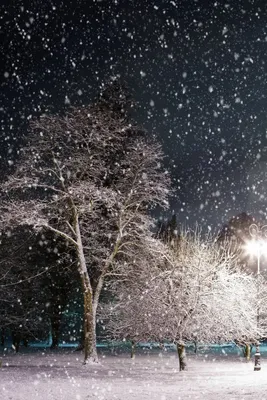 А снег идет | Снег, Фотографии фонов, Зима
