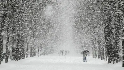 Снег идёт вечером в красивом парк» — создано в Шедевруме