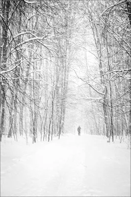 А снег идет… 🎙️Снег идет - Нодар Ревия… | Instagram