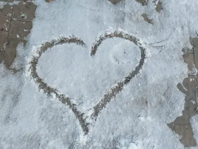 В России выпал первый снег: Край: Среда обитания: Lenta.ru
