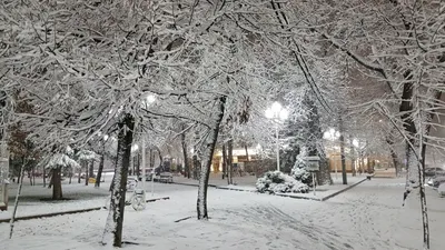 В Пермском крае прогнозируются сильный снег, туман и ледяной дождь | «Новый  компаньон»