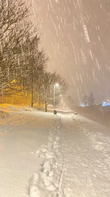 Снег не есть, это на Новый год\": как на Кубани радуются снегу -  KrasnodarMedia.ru
