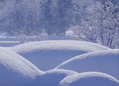 Снег, много снега, эстетично, красиво…» — создано в Шедевруме