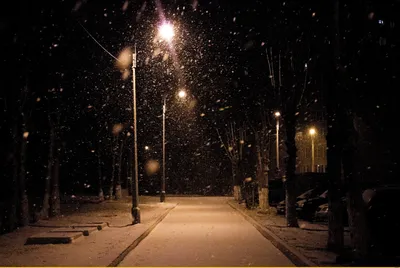 Ночной снегопад | Пикабу