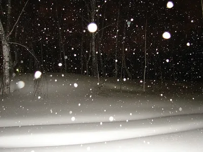 Ночной снегопад - Любовная поэзия - Поэзия - Литсеть