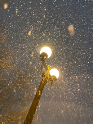 Прошедший в Москве снегопад стал самым мощным за последние 72 года – Москва  24, 07.12.2021