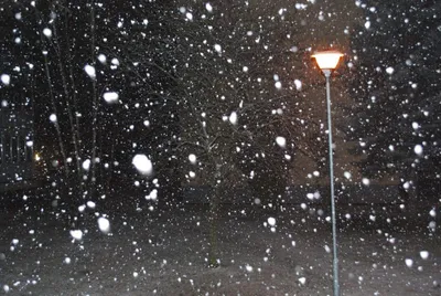 Снегопад: ночью улицы города очищали 20 единиц техники | 21.02.2023 |  Балаково - БезФормата