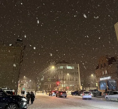 Снегопад в Ростове может продлиться до конца недели