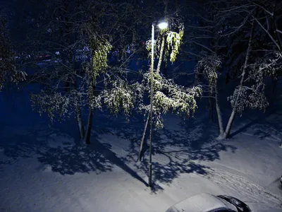 Ночной снегопад (Фридрих Хальс) / Стихи.ру