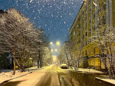 Фото и видео ночного снегопада в Петербурге. «Бумага»