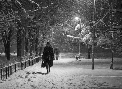Вечерний снегопад - Аналитический интернет-журнал Власть
