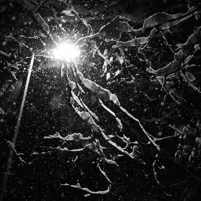 Снег ночью (54 фото) - 54 фото