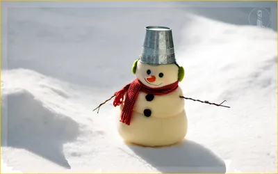 Фотоотчет «Международный день снеговика» (5 фото). Воспитателям детских  садов, школьным учителям и педагогам - Маам.ру