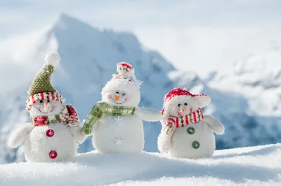 Снеговик на лыжах ** / Для коллекционеров / Коллекция снеговиков / Магазин  Подарков