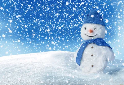 ▷ Новогодняя композиция Снеговик на пне 01-20-51(7-10), цена 215 грн. -  купить в интернет магазине Ninomi