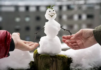 Снеговики | Николай Полисский