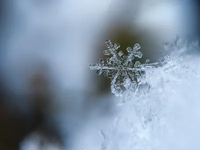 Снежинки в небе в свете фонаря, …» — создано в Шедевруме