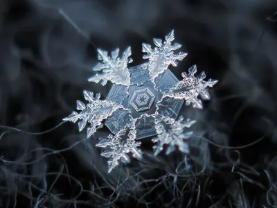 Новогодние снежинки - создаем атмосферу волшебной сказки в вашем доме  вместе с eli.ru