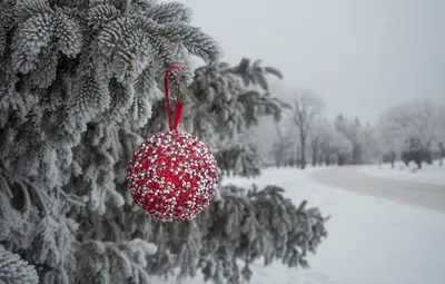 Фото обои зима, снег, елка, шар, Новый год | Рождественские идеи, Новый  год, Обои