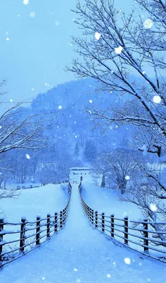 Зима картинки красивые на телефон - 64 фото