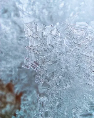 Снежные кристаллы.Макро.Снято на Redmi Note 9S | Пикабу