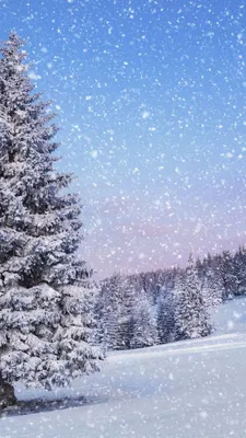 Вертикальные обои на айфон красивые зимние (52 картинки) | Пейзажи,  Живописные пейзажи, Фото дерево
