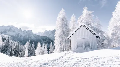 С обеда начнет засыпать снегом: в Гродно прогнозируют метель, а на дорогах  снежные заносы — Блог Гродно s13