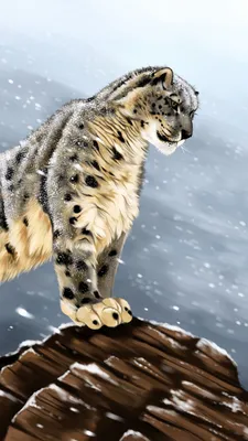 Скачать 1440x2560 снежный барс, большая кошка, хищник, взгляд, камни, арт  обои, картинки qhd samsung galaxy s6, s7, edge, note, lg g4