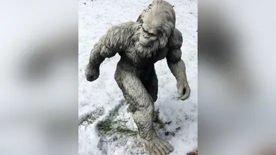 Снежный человек, ЙЕТИ, снятый на видео - YouTube