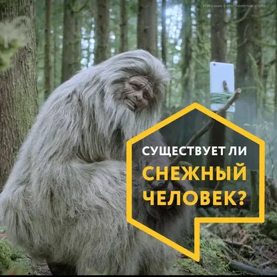 Четырех друзей напугало напоминающее снежного человека существо: Люди: Из  жизни: Lenta.ru