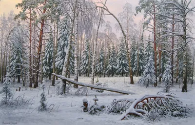 Увидеть снежный лес в местах, овеянных легендой – Газета \"Наше слово\"