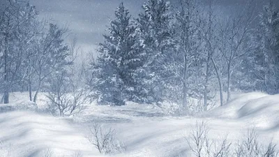 Северная Зима Снежный Лес Пейзаж С Небольшой Деревянной Ложи, Большие  Деревья Покрыты Снегом, Красивая Зимняя Погода Фотография, картинки,  изображения и сток-фотография без роялти. Image 67935194
