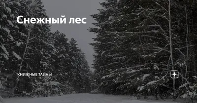 Снежный лес / Снежный лес / Фотография на PhotoGeek.ru