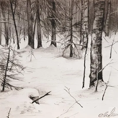 Зимний снежный лес (Надежда Никищенкова) / Стихи.ру